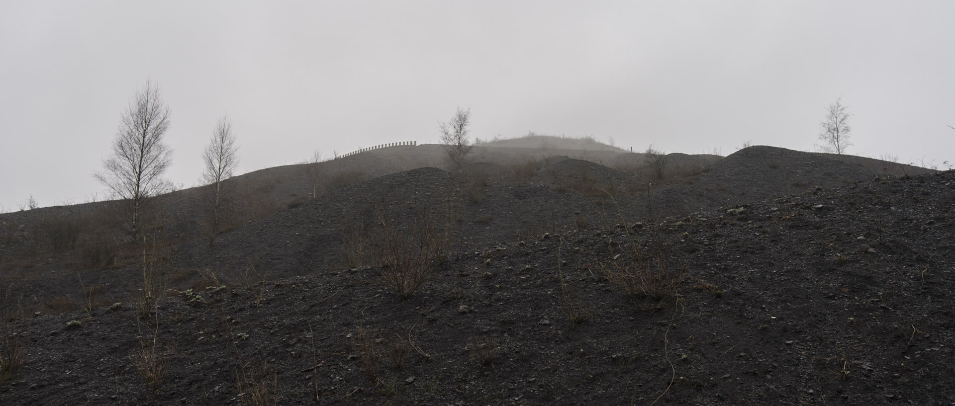 Vendredi 3 avril 2015, 15:15, terrils, Loos en Gohelle