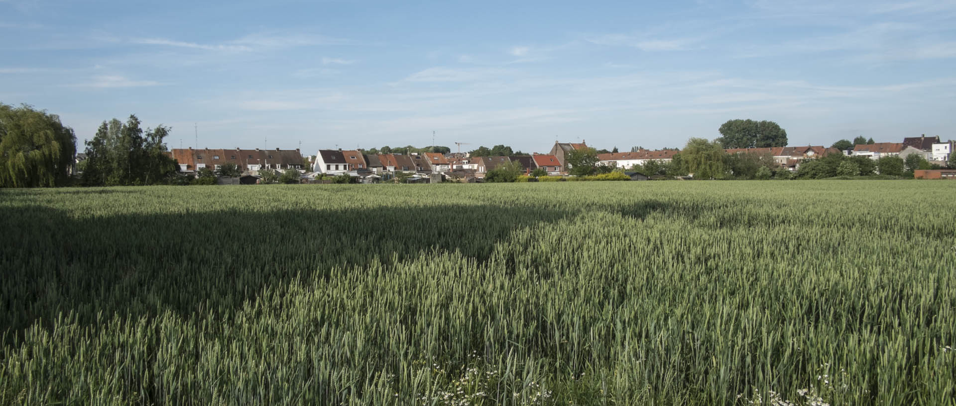 Mercredi 27 mai 2015, 17:13, carrière Rasson, Wattrelos