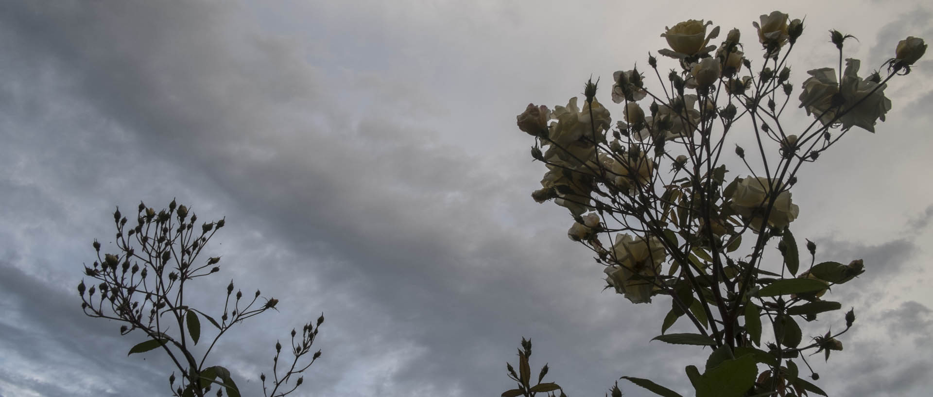 Vendredi 5 juin 2015, 21:35, Croix