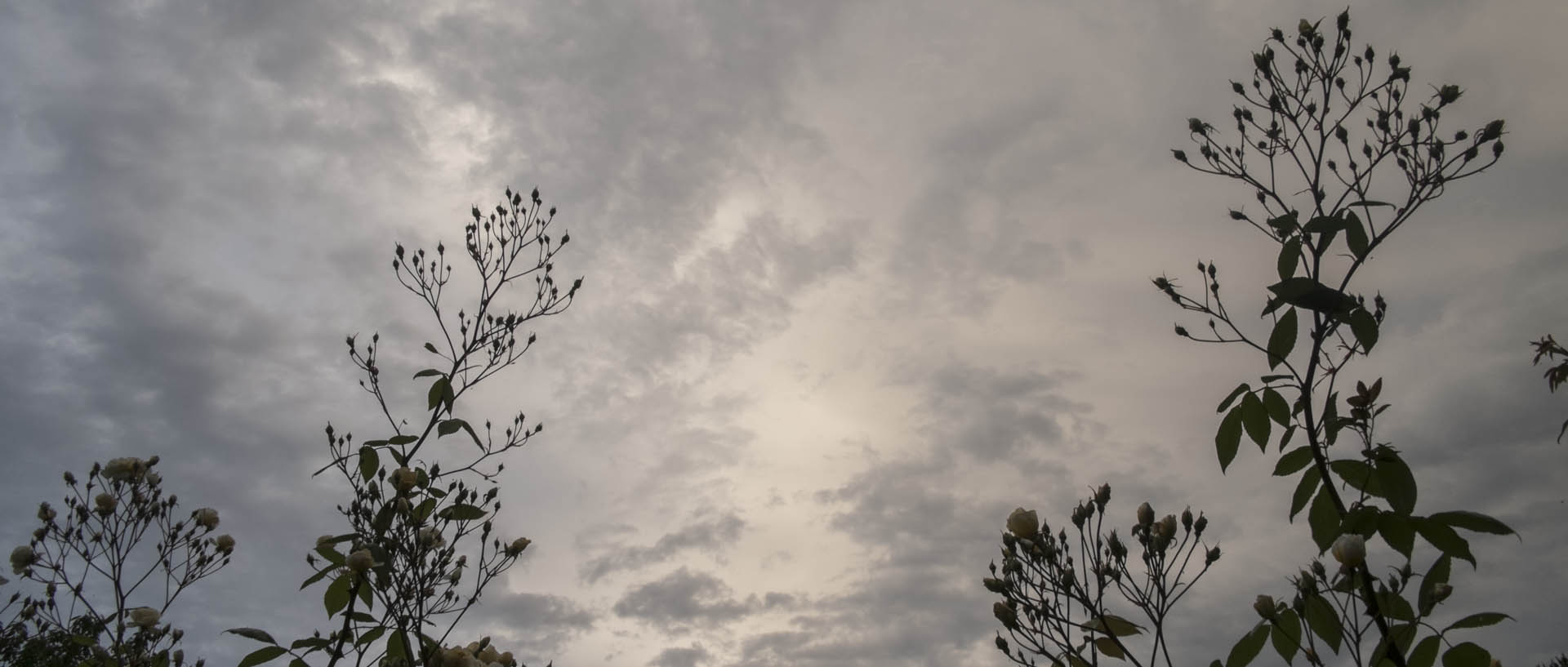 Vendredi 5 juin 2015, 21:39, Croix