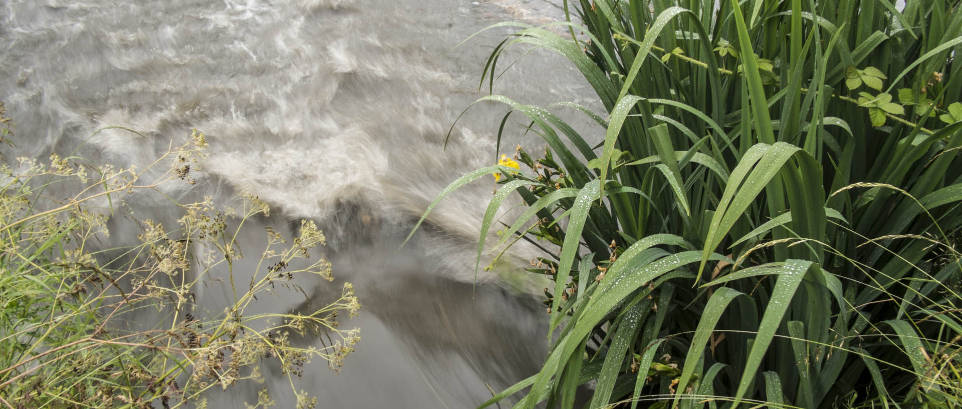 Lundi 22 juin 2015, 18:09, canal de la Marque, Wasquehal