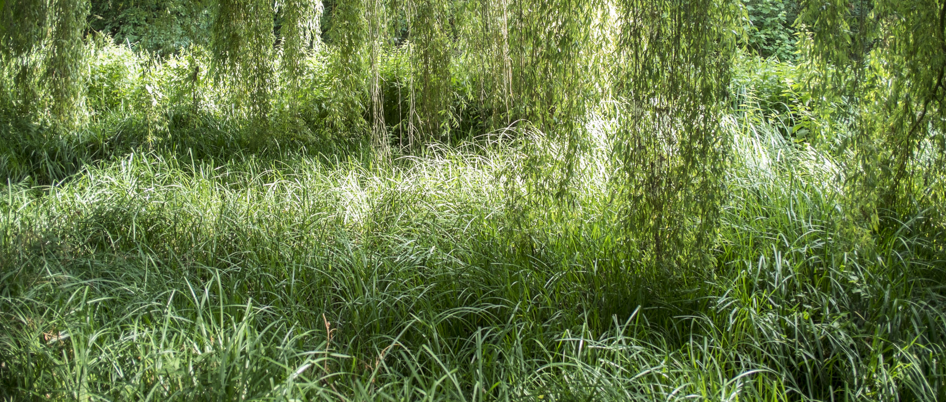 Mardi 21 juillet 2015, 17:07, canal de la Marque, Croix