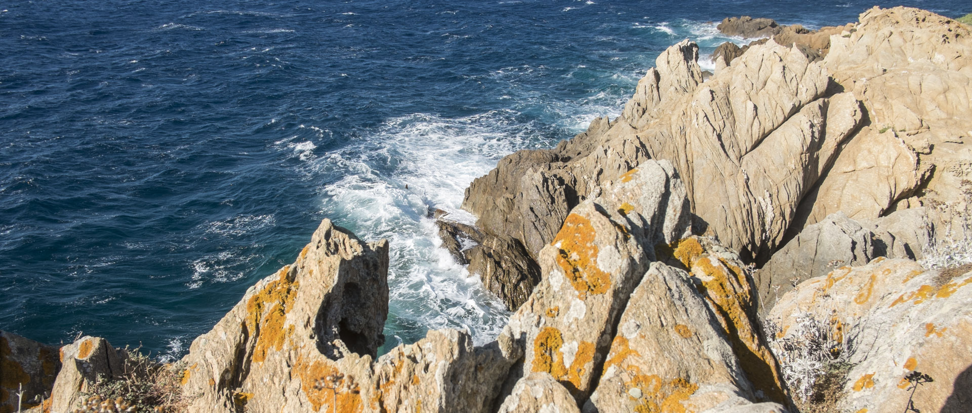 Lundi 27 juillet 2015, 18:10, île du Levant