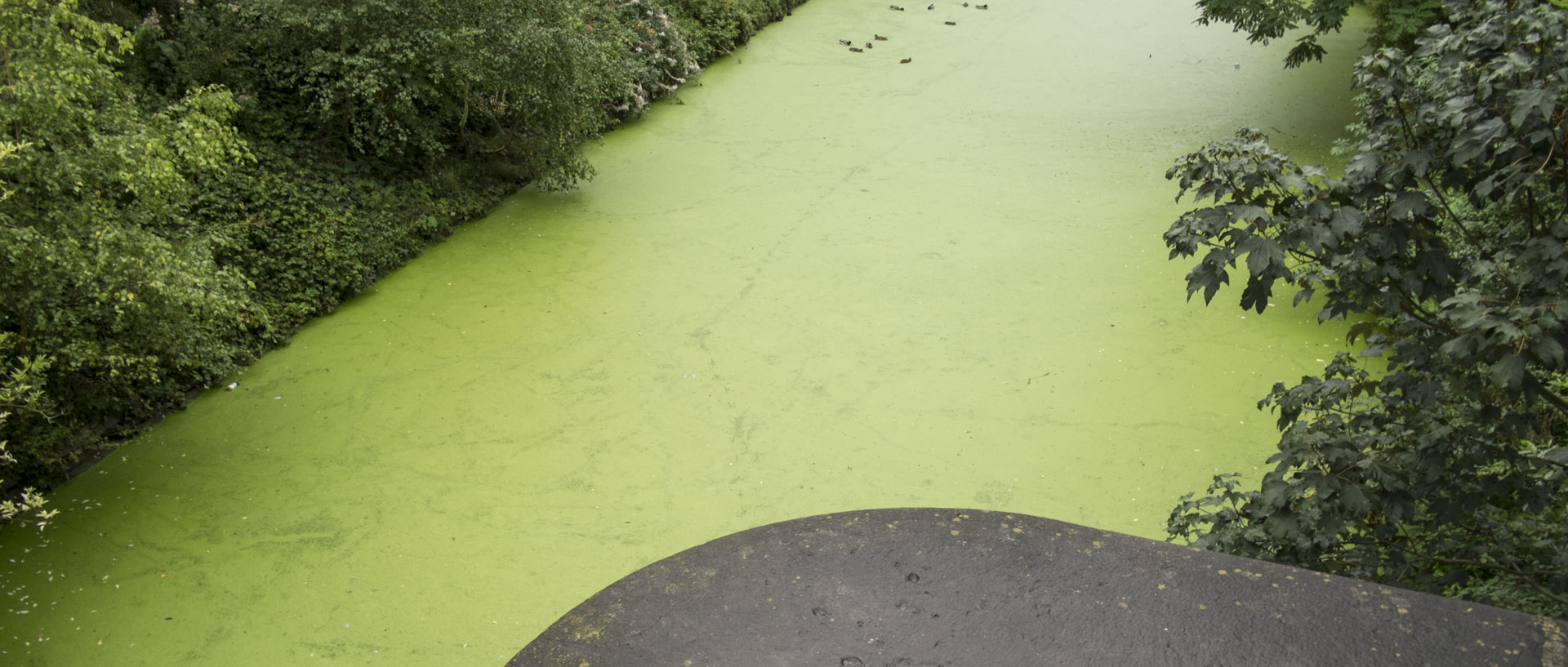 Lundi 21 septembre 2015, 8:22, canal de Roubaix, Wasquehal