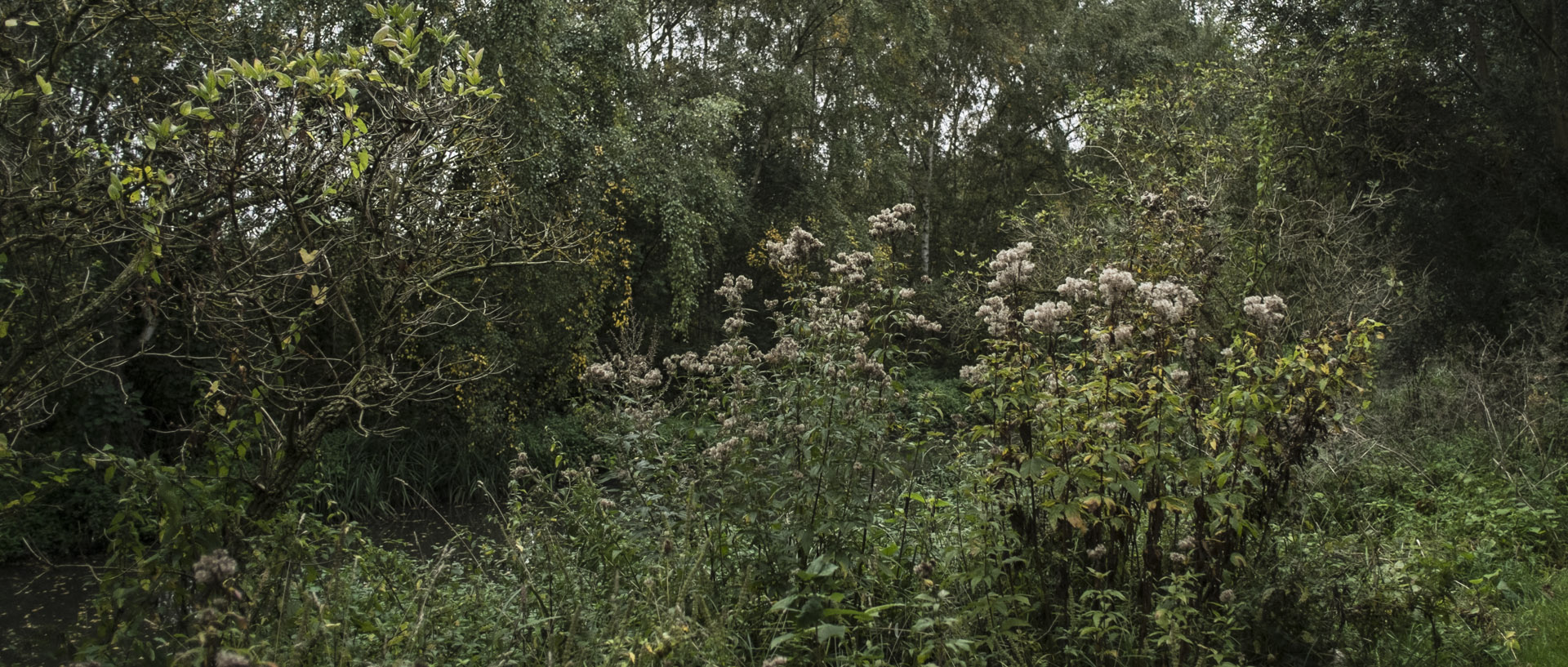 Mercredi 7 octobre 2015, 18:47, canal de la Marque, Croix