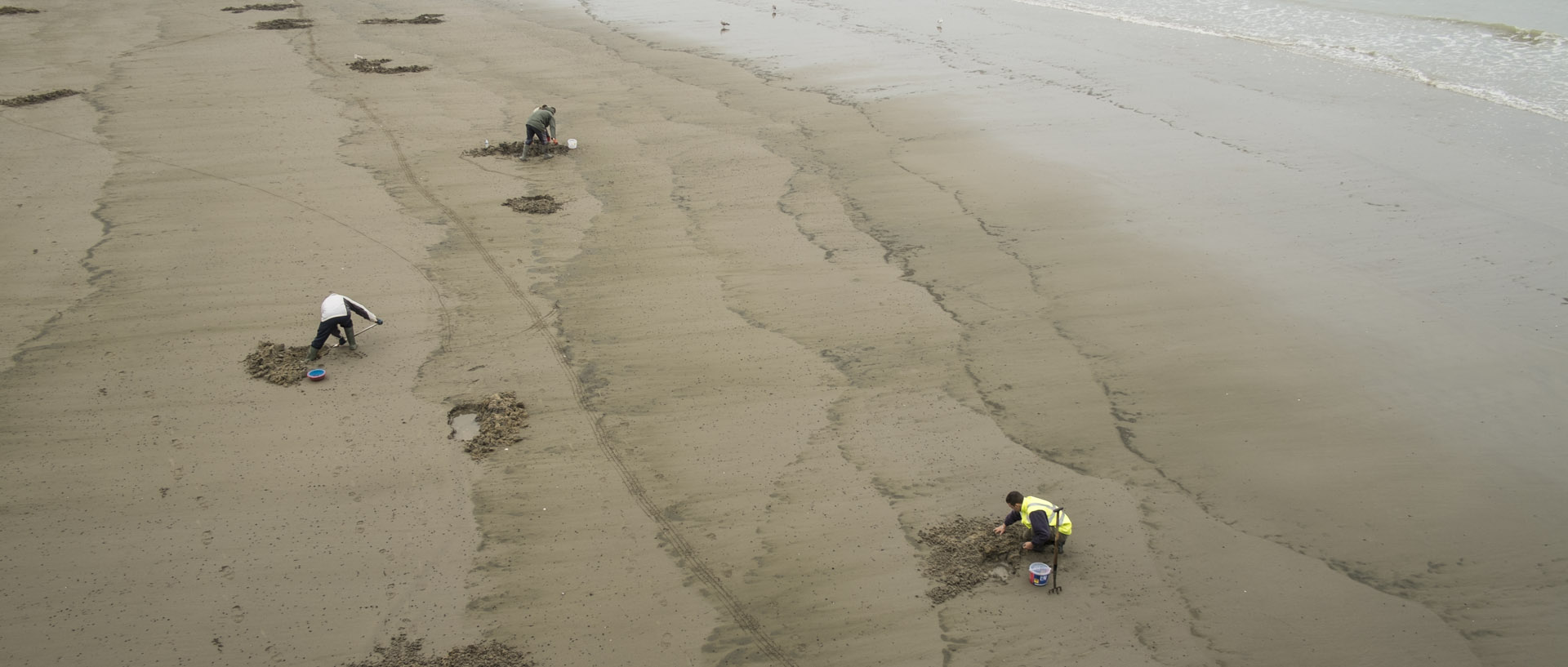 Vendredi 23 octobre 2015, 14:39, plage, Calais