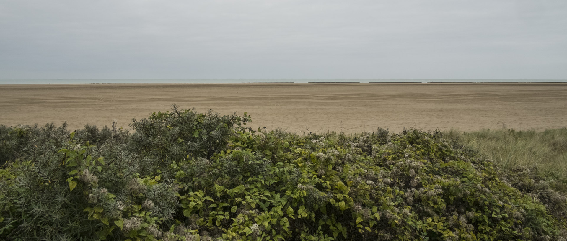 Vendredi 23 octobre 2015, 15:55, Oye plage