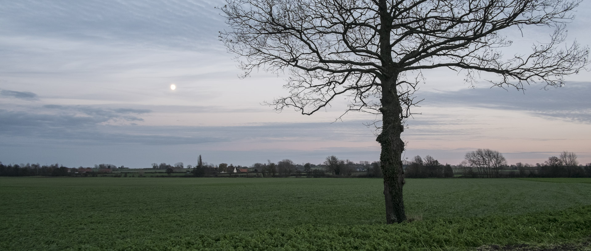 Lundi 23 novembre 2015, 16:57, Oudezeele