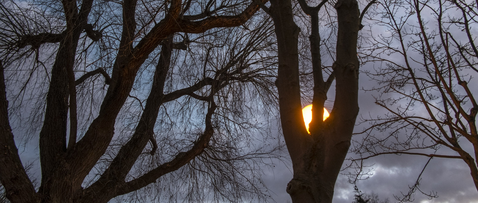 Dimanche 10 janvier 2016, 19:00, rue Louis-Brodel, Croix