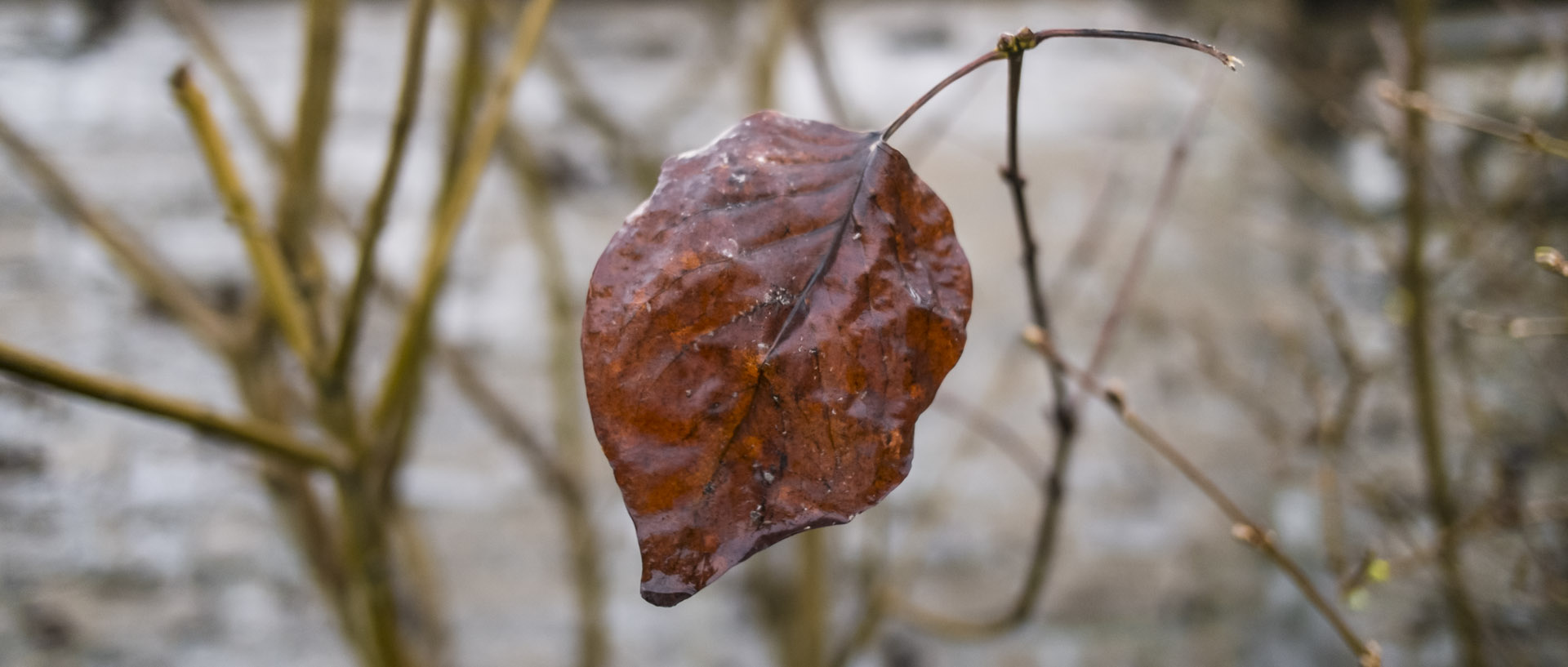 Mardi 9 février 2016, 17:29, Croix