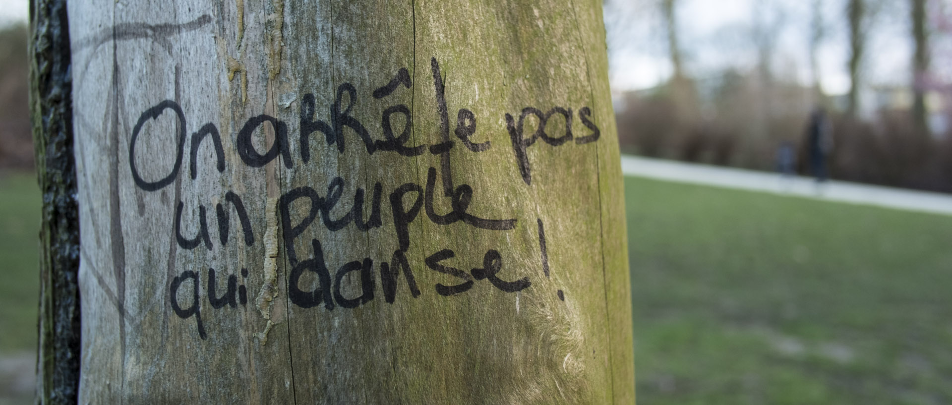 Vendredi 12 février 2016, 17:35, parc Barbieux, Roubaix