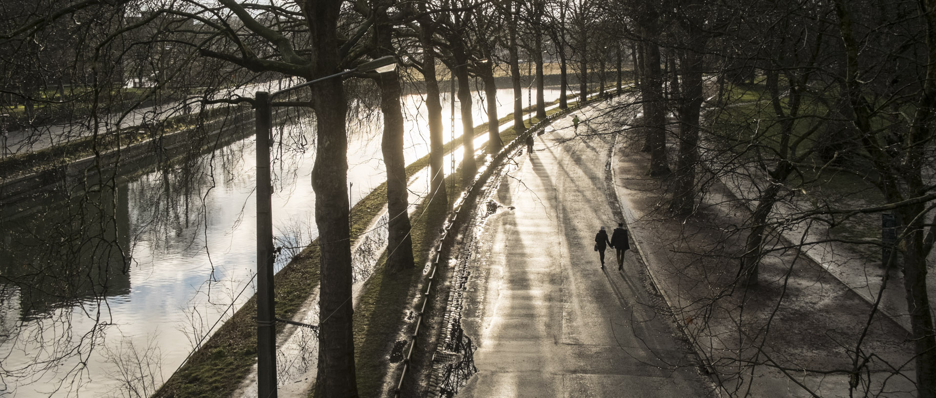 Lundi 7 mars 2016, 17:41, bois de Boulogne, Lille