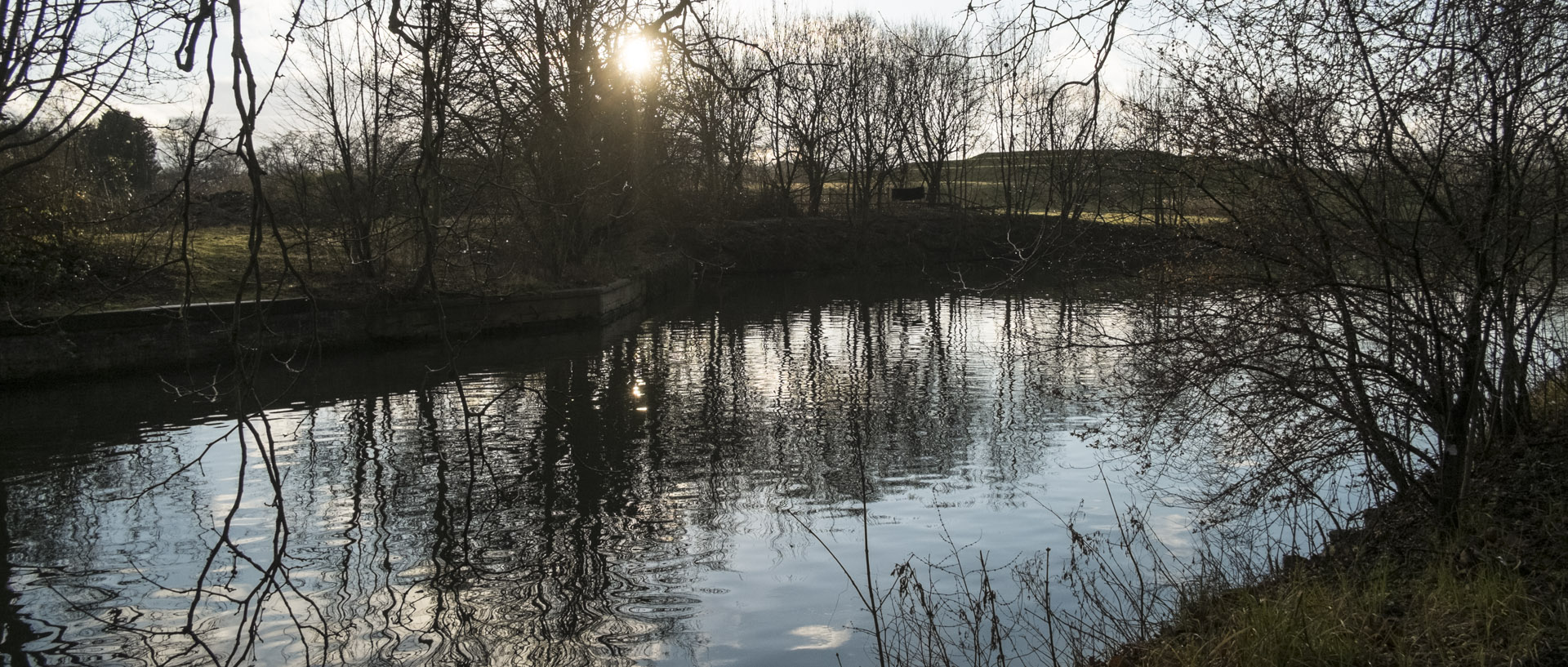 Lundi 7 mars 2016, 17:49, bois de Boulogne, Lille