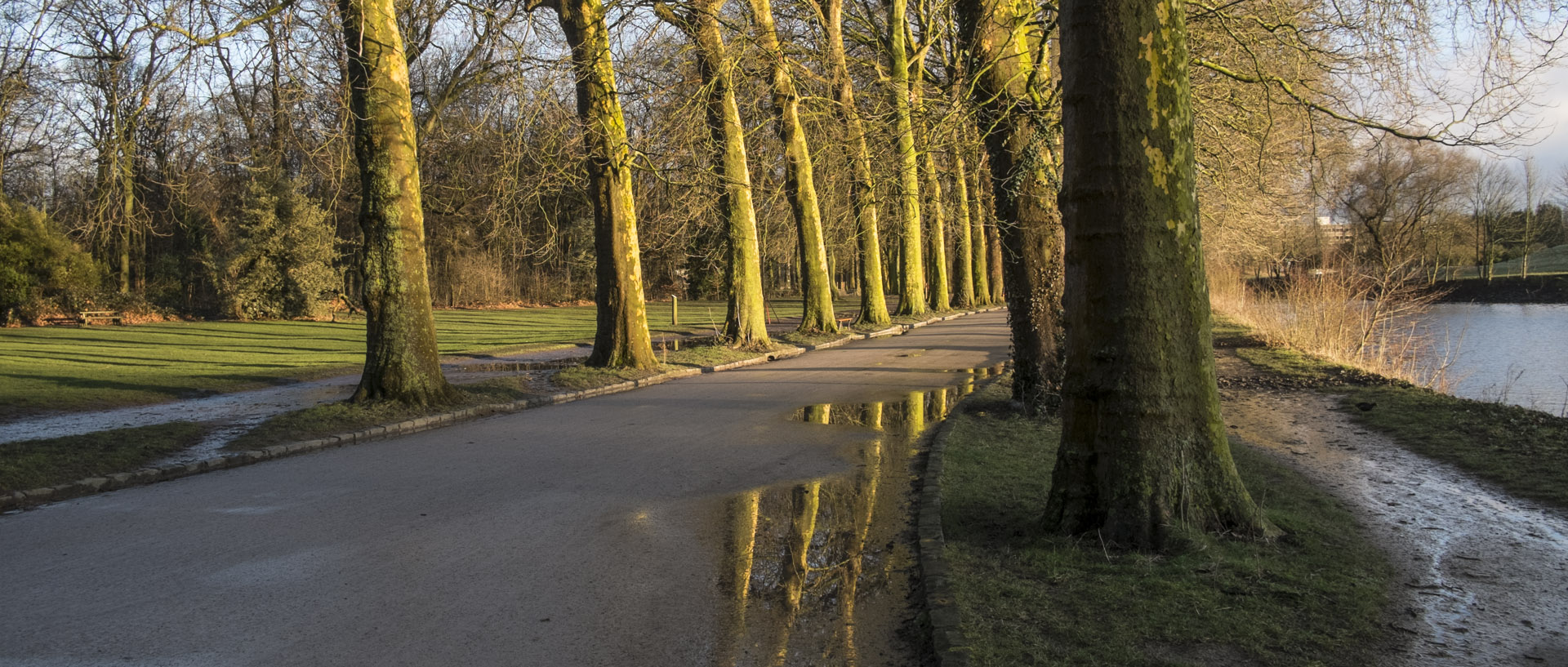 Lundi 7 mars 2016, 17:59, bois de Boulogne, Lille