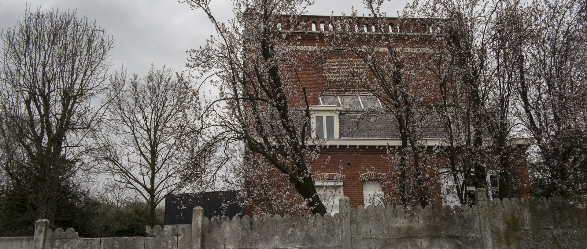 Mercredi 9 mars 2016, 14:57, allée Gabert, Hem