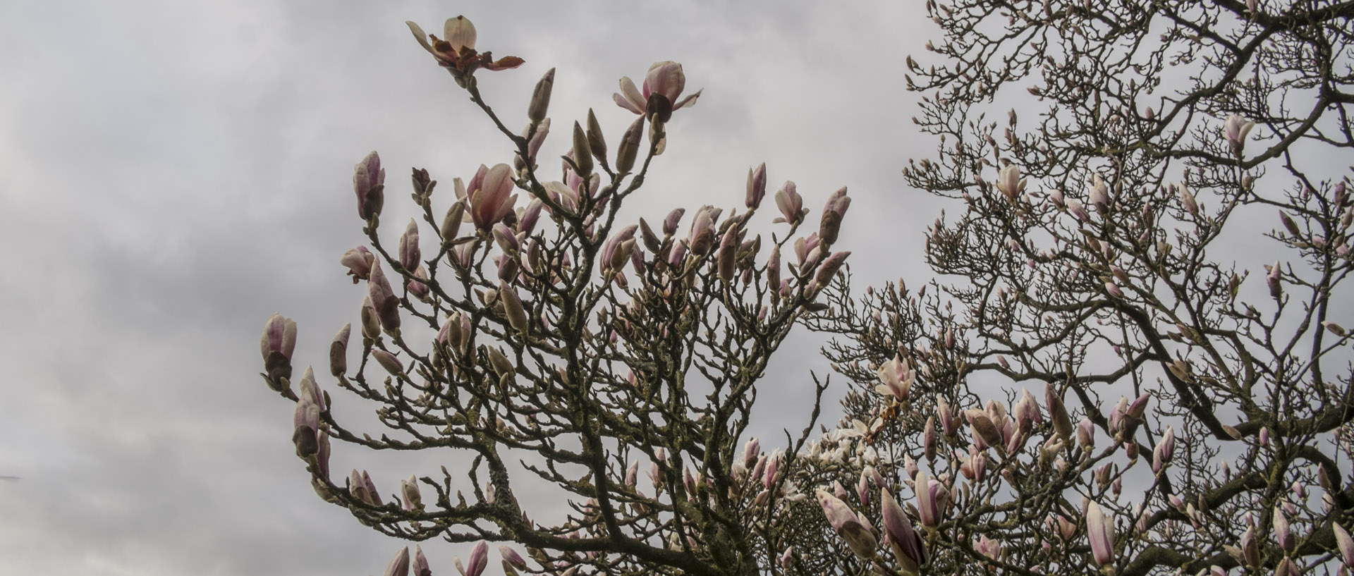 Mercredi 23 mars 2016, 18:04, Croix