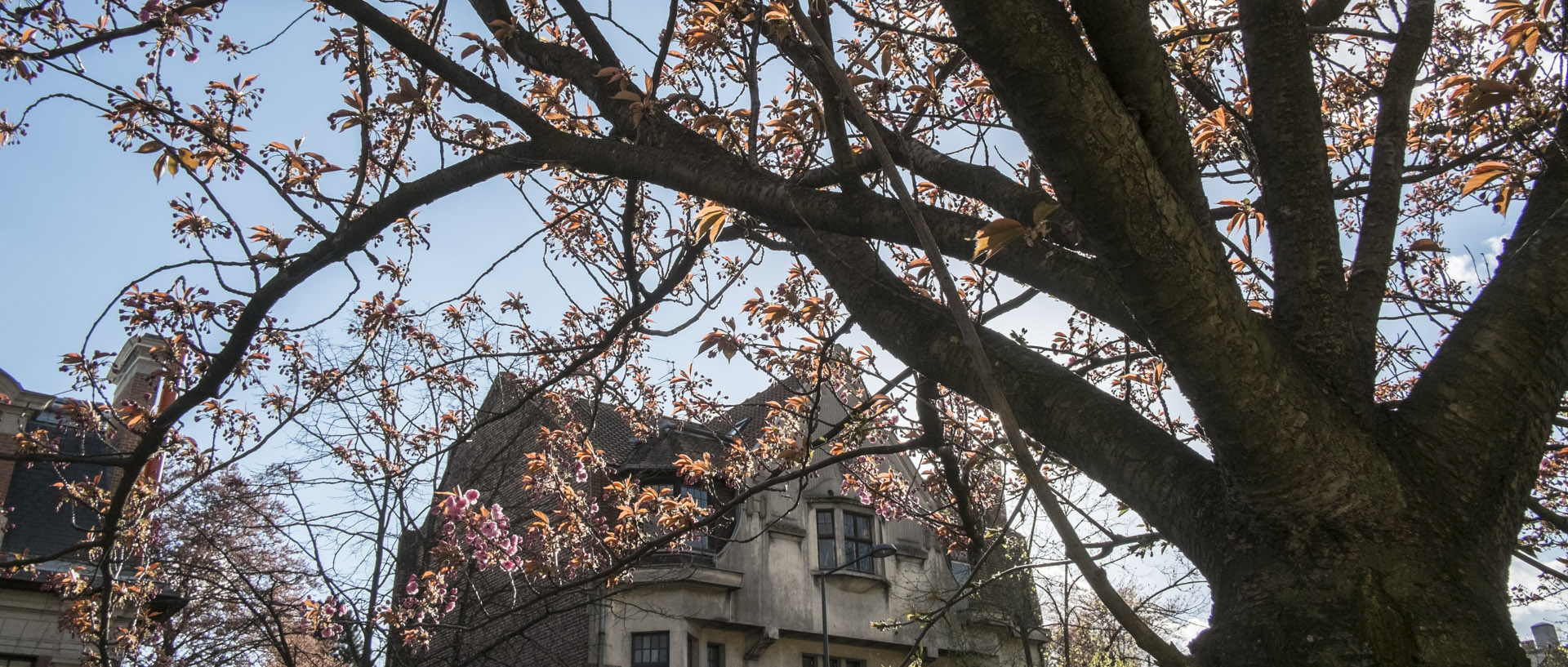 Lundi 18 avril 2016, 18:29, boulevard Lacordaire,Roubaix