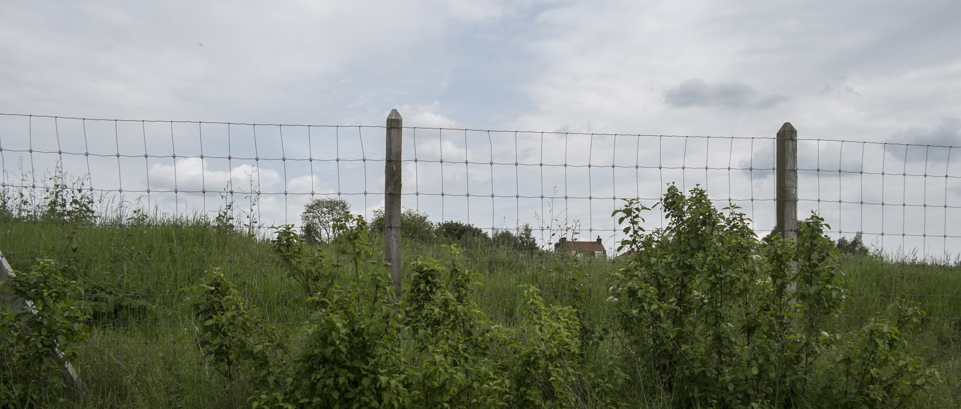 Lundi 16 mai 2016, 15:30, chemin de halage, Marquette lez Lille