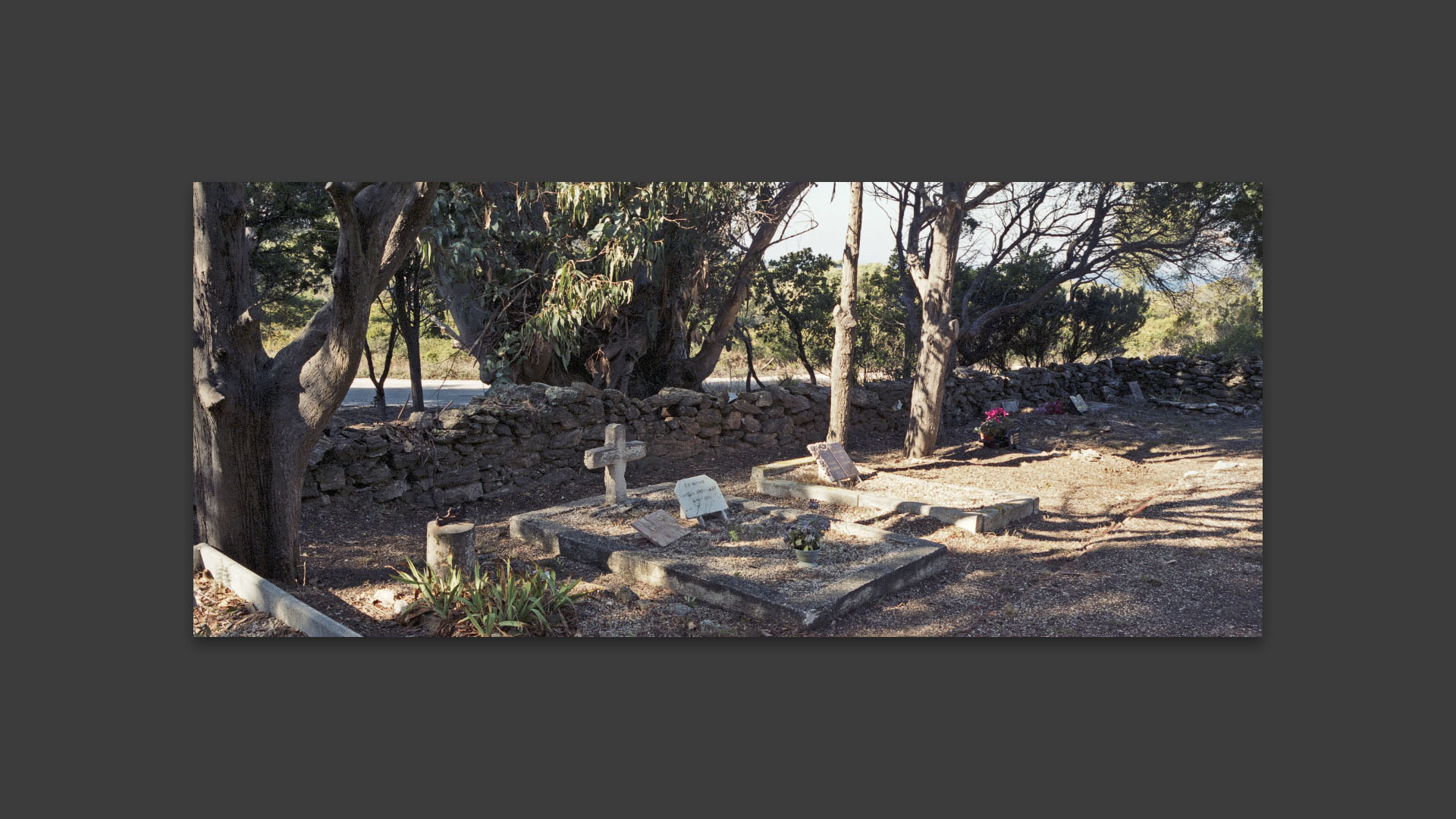 Le cimetière de l'île du Levant. 