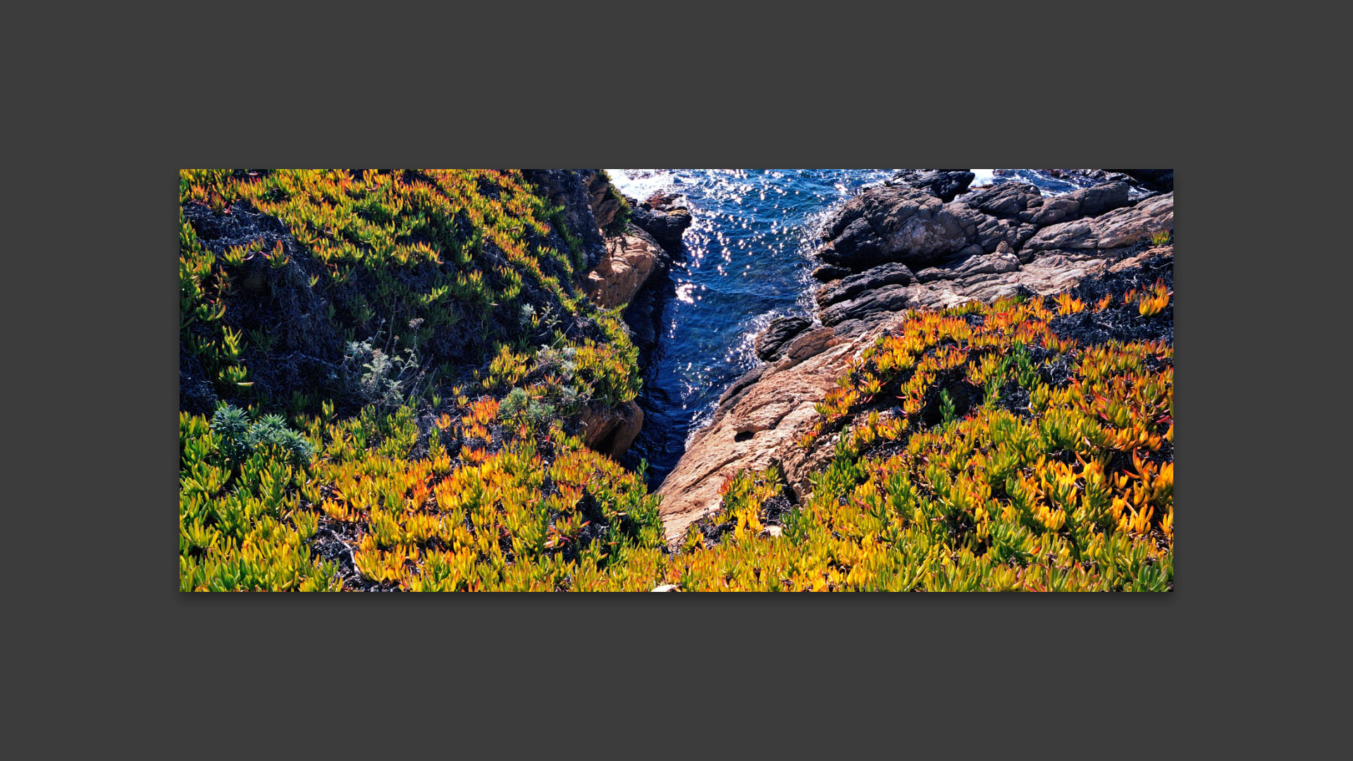 Chemin de la plage des Grottes. 