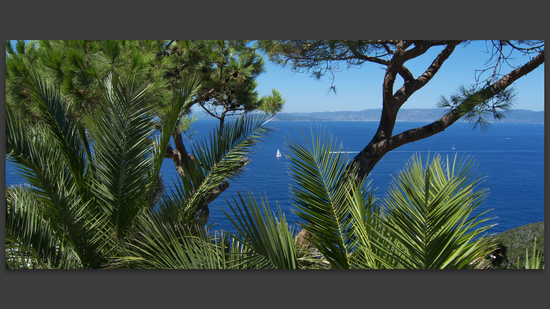 Corniche des Arbousiers. 