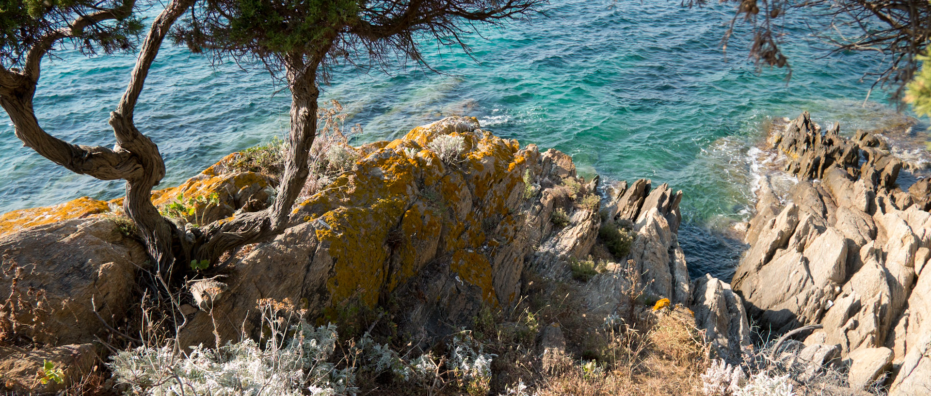 Bord de mer, à l'île du Levant.