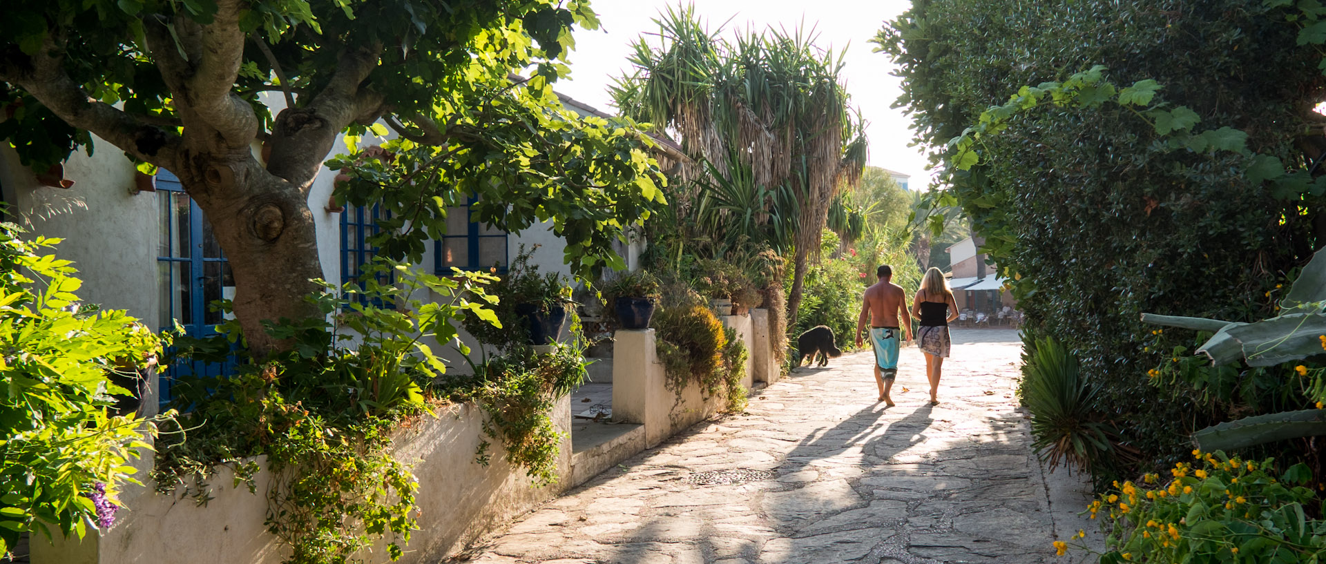 Chemin du village d'Héliopolis, à l'île du Levant.