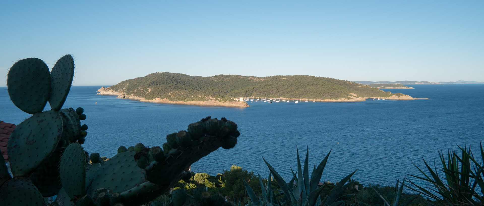 Port-Cros, le matin.