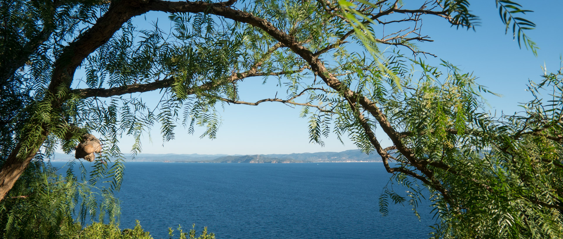 Le cap Bénat et le fort de Brégançon, le matin.