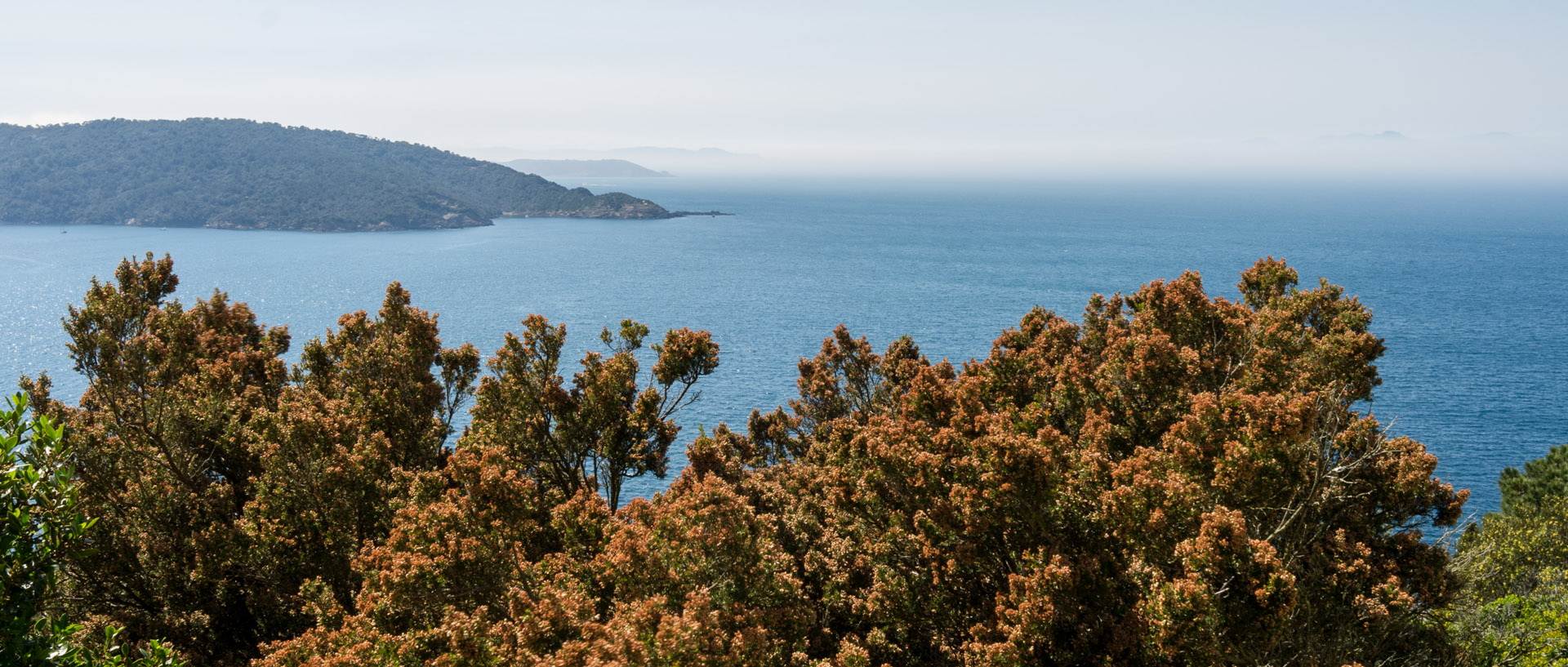 Jeudi 18 avril 2013, 15:27, Ile du Levant