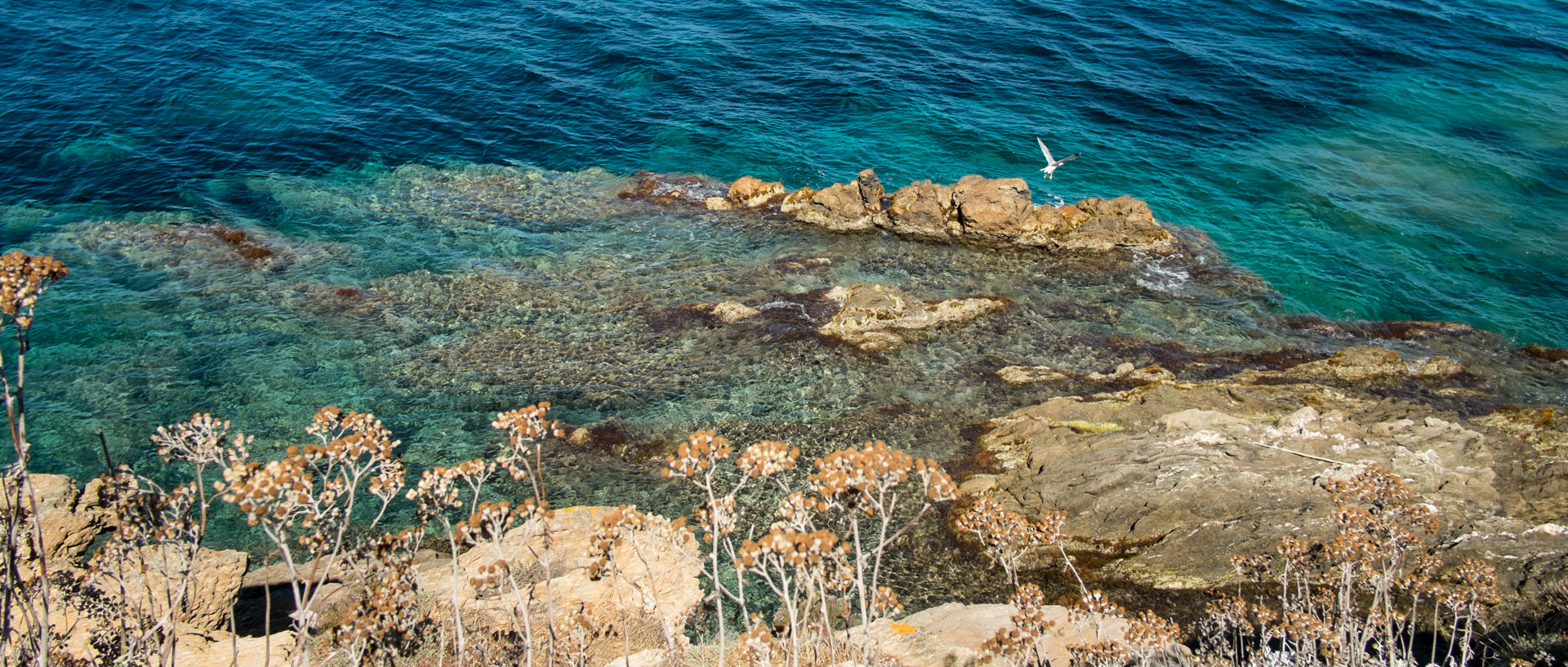 Jeudi 1er août 2013, 11:08, Ile du Levant