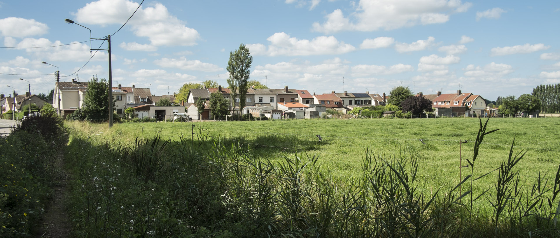 Eté champêtre / Pastoral summer Mercredi 16 juillet 2014, 16:24, rue de Viscours, Linselles