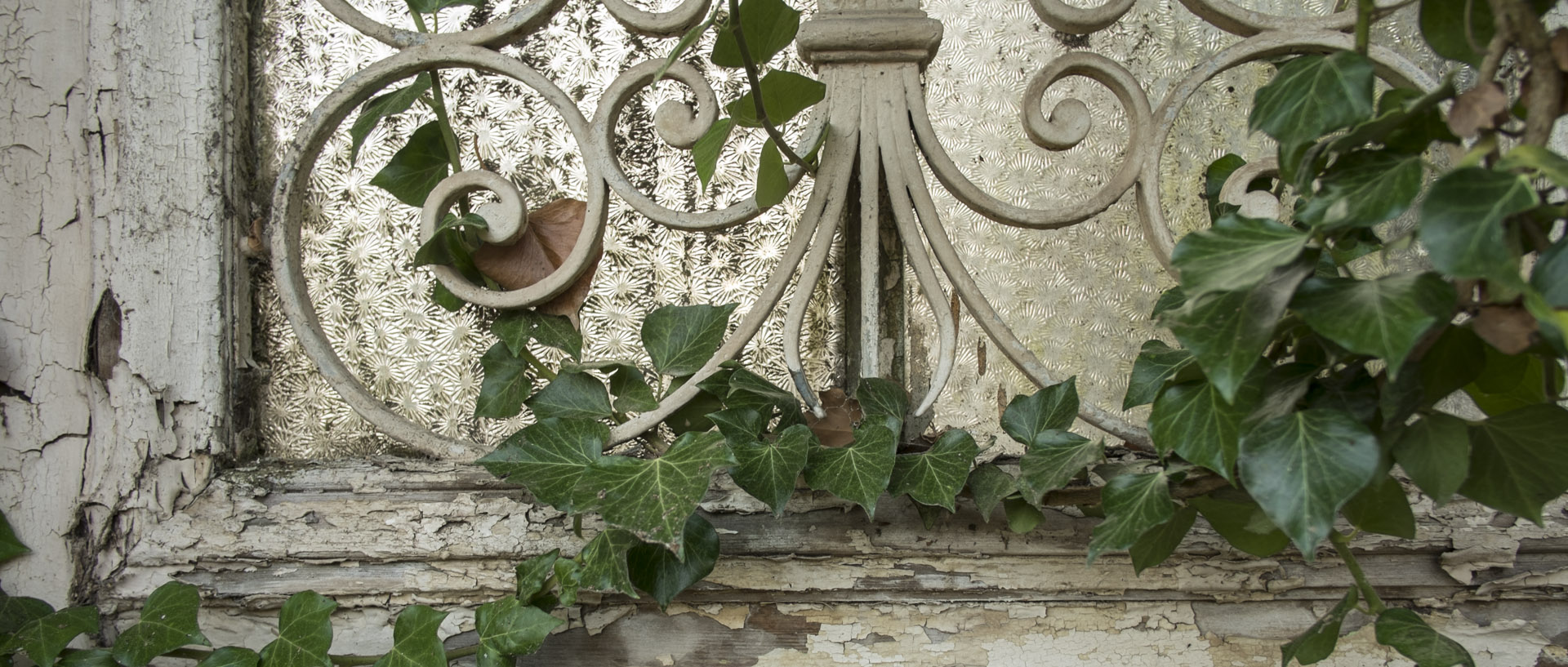 Lierre et fer / Ivy and iron Samedi 26 juillet 2014, 21:08, Couin
