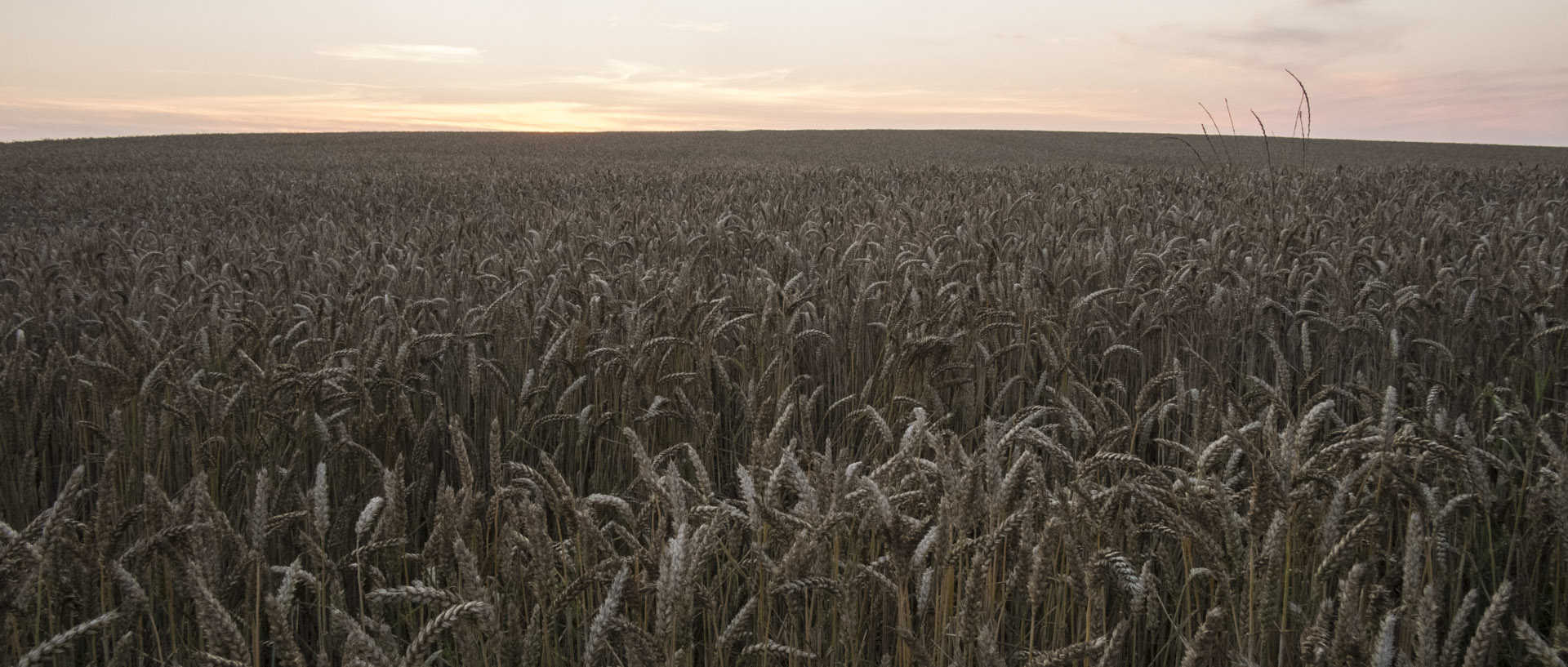 La Terre est ronde / Earth is round Samedi 26 juillet 2014, 21:46, Couin