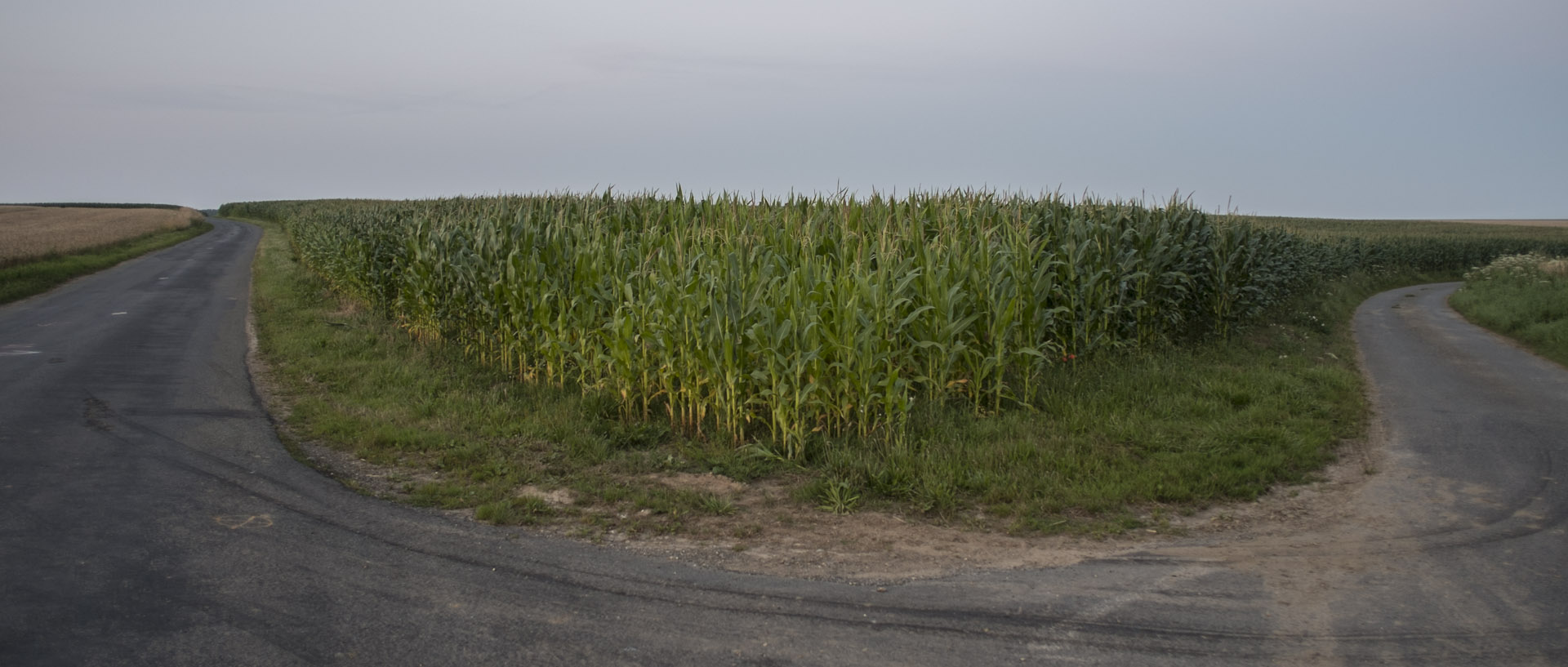 La route est courbe / Road is curve Samedi 26 juillet 2014, 21:56, Couin