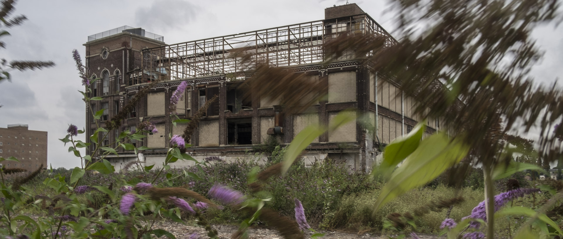 Dans le vent / In the wind Mardi 29 juillet 2014, 20:29, Lainière de Roubaix