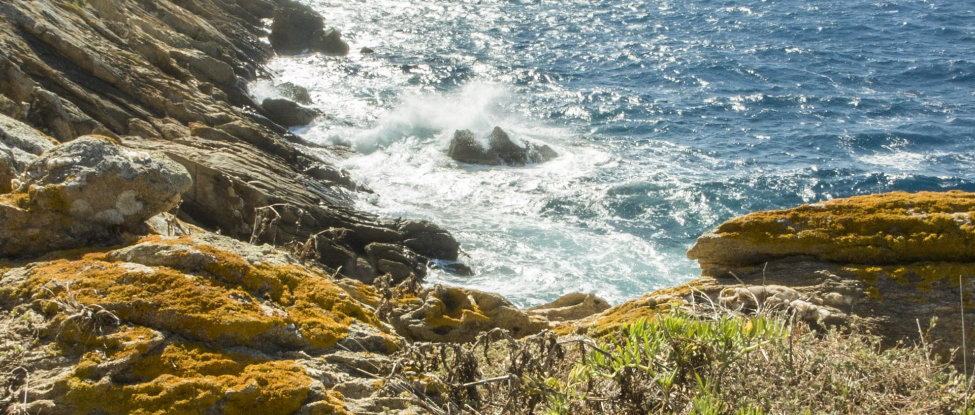 Jeudi 14 août 2014, 16:34, Ile du Levant