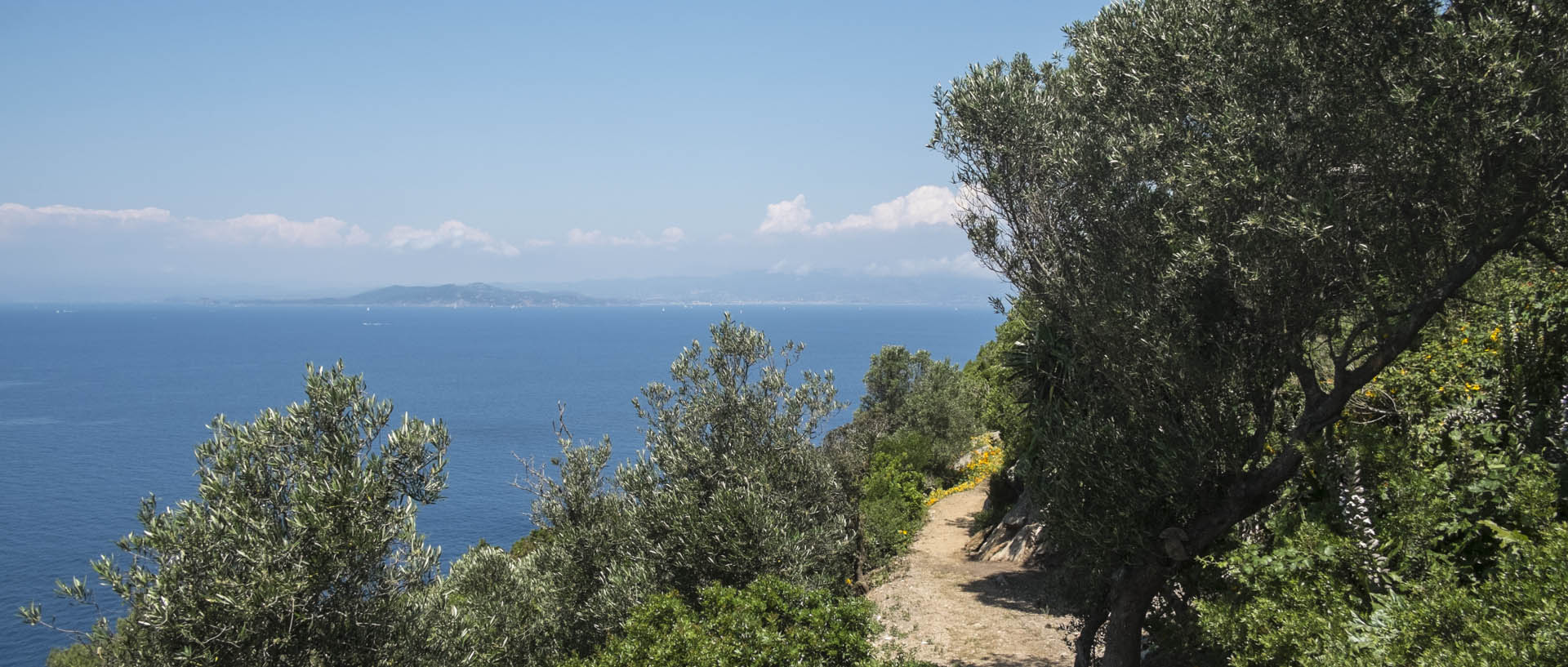 Lundi 25 mai 2015, 12:34, île du Levant