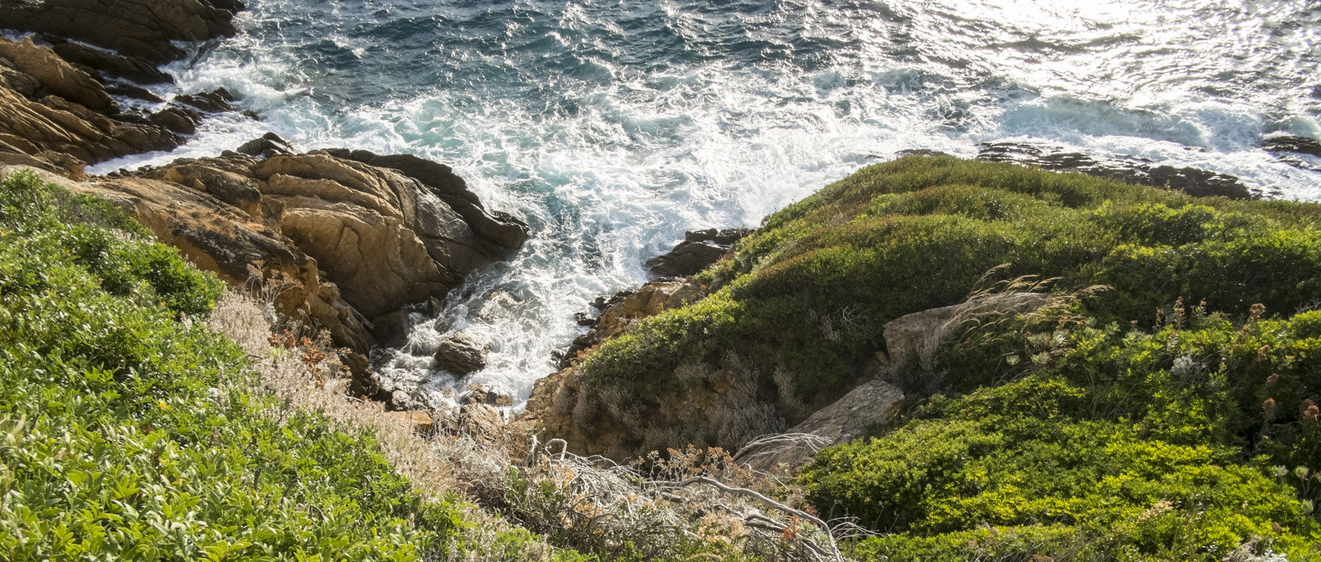 Dimanche 9 août 2015, 19:26, île du Levant